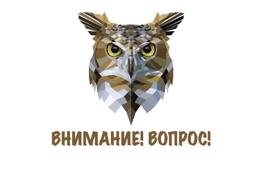 Сова — эмблема программы «Внимание, вопрос!».